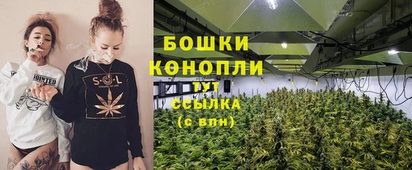 apvp Дмитриев