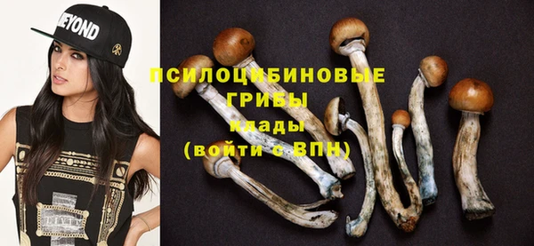 PSILOCYBIN Дмитров