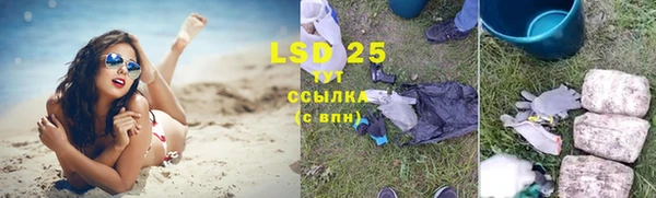 PSILOCYBIN Дмитров