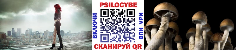 Псилоцибиновые грибы Magic Shrooms  Купить закладки  Тогучин 